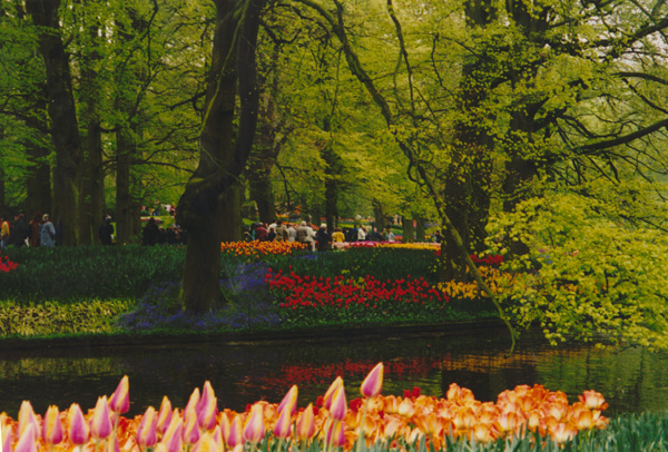 1998 (293)