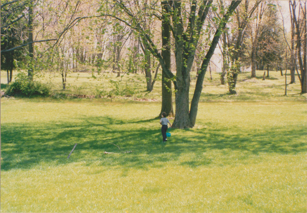 1998 (305)