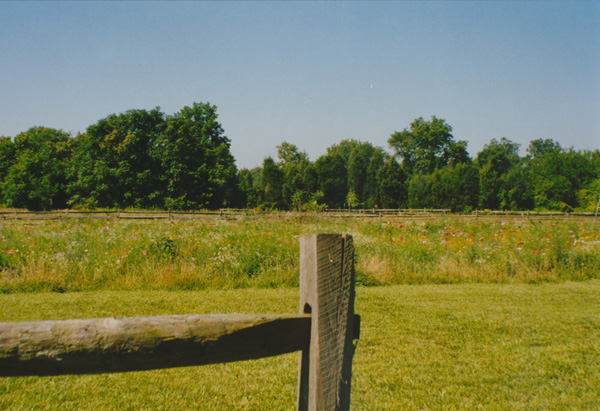 1998 (348)