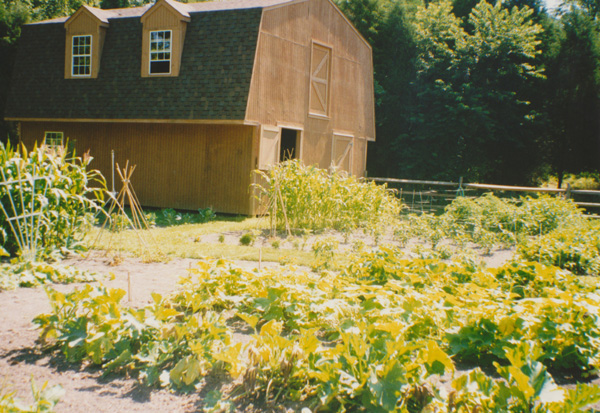 1998 (355)