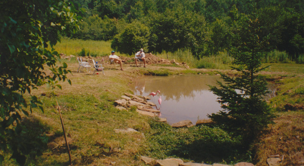 1998 (366)