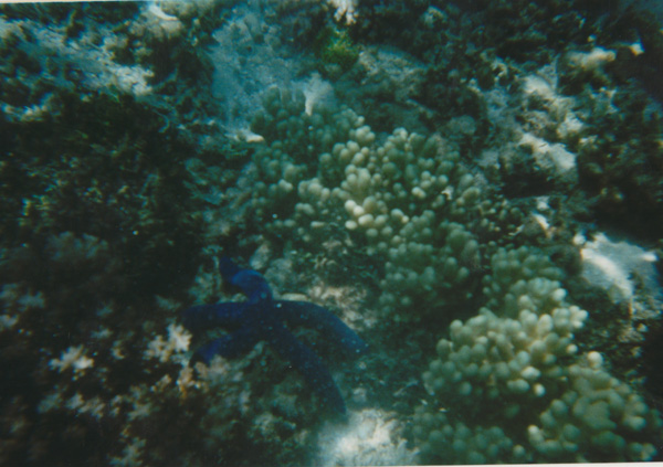 1998 (467)
