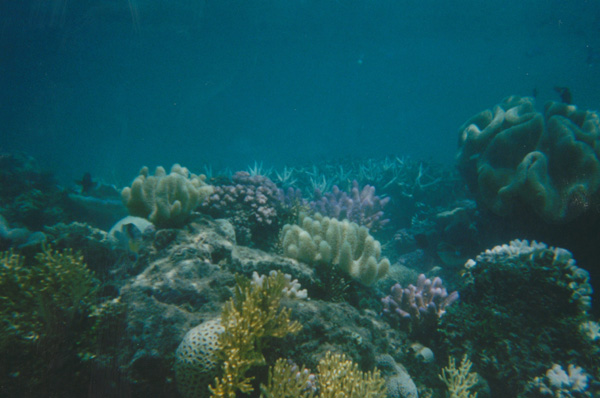 1998 (469)