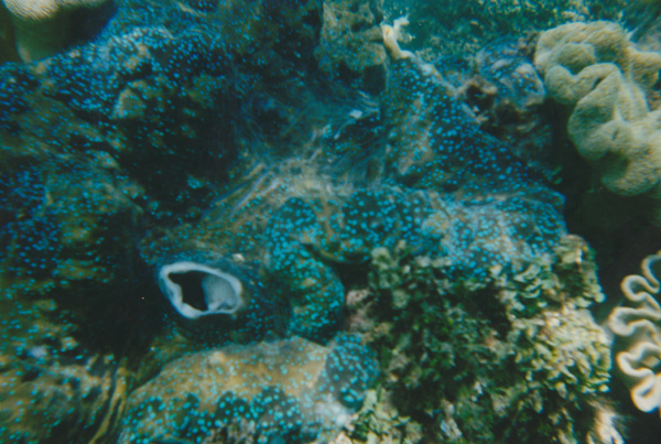 1998 (470)