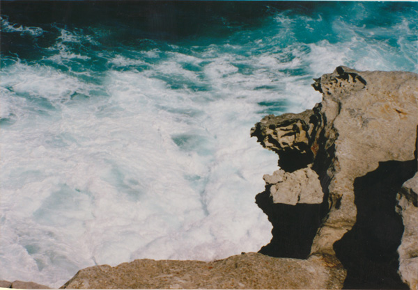 1998 (493)