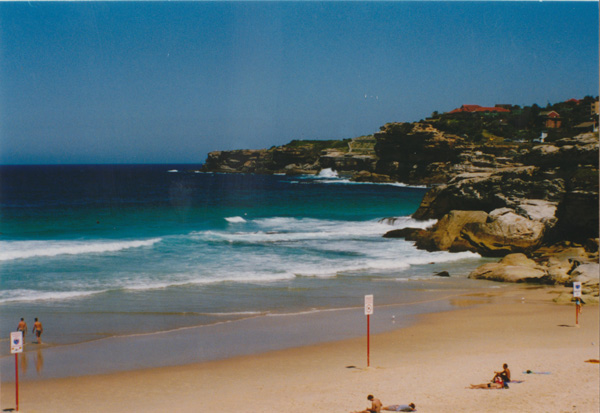 1998 (494)