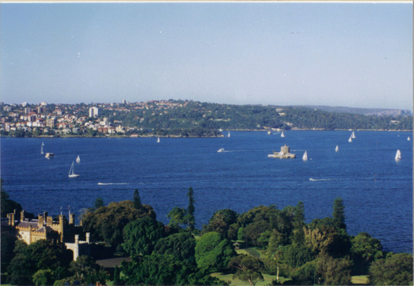 1998 (520)