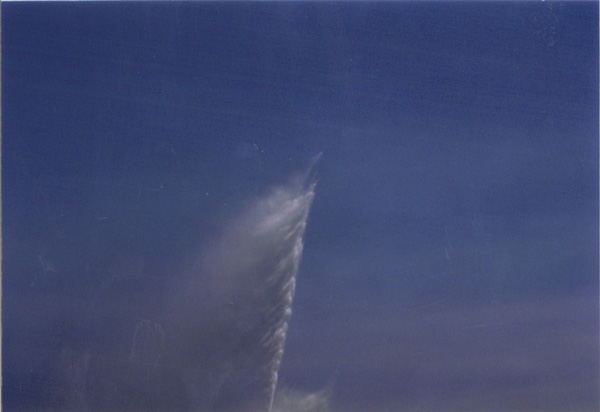 1998 (529)