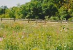 1998 (353)