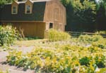1998 (355)