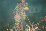 1998 (471)