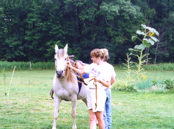 Camping 0306055