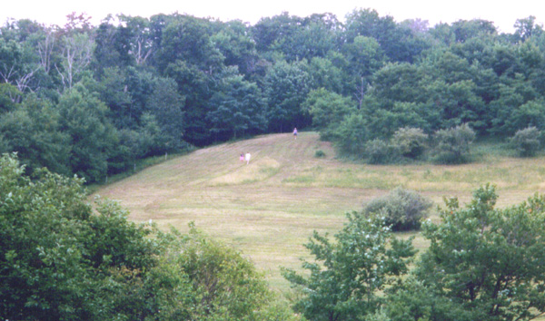 Camping 0306061