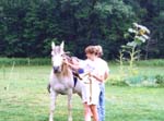 Camping 0306055