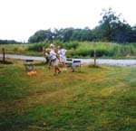 Untitled-168