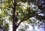 Untitled-30
