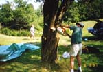 Untitled-31