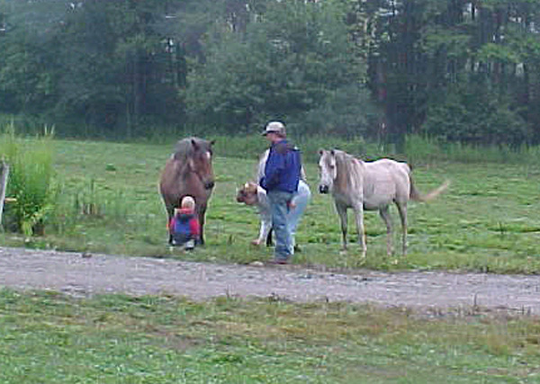 The pets
