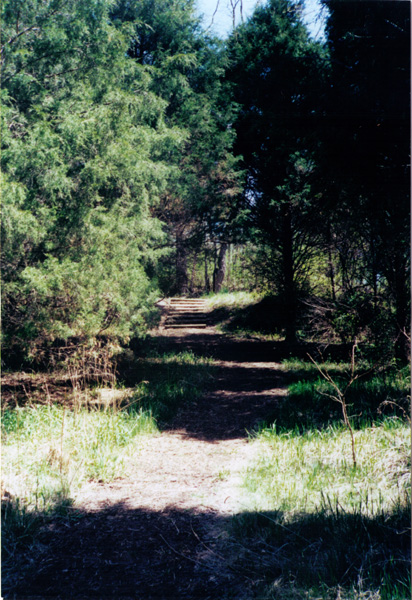 2001 (188)