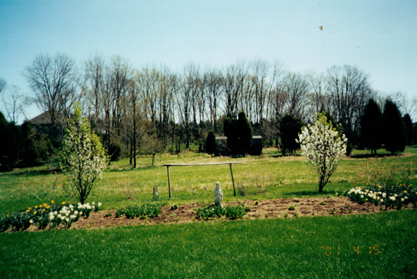 2001 (223)