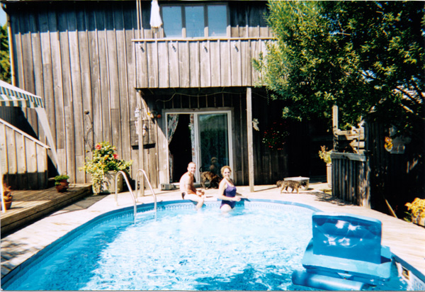 2001 (224)