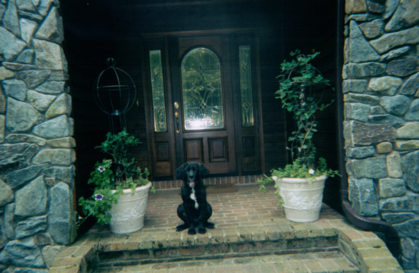 2001 (244)