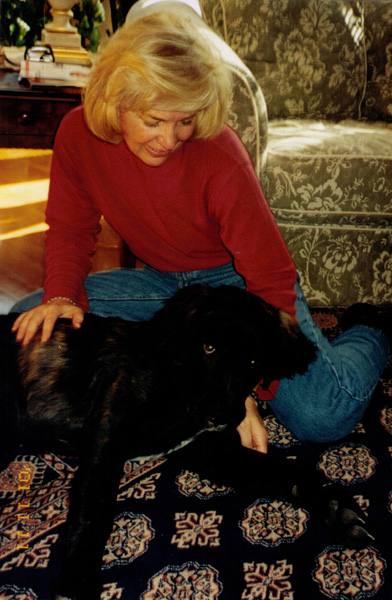 2001 (249)