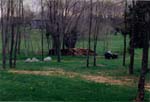 2001 (353)