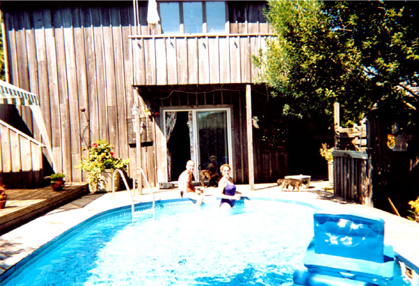 Fire Island 2