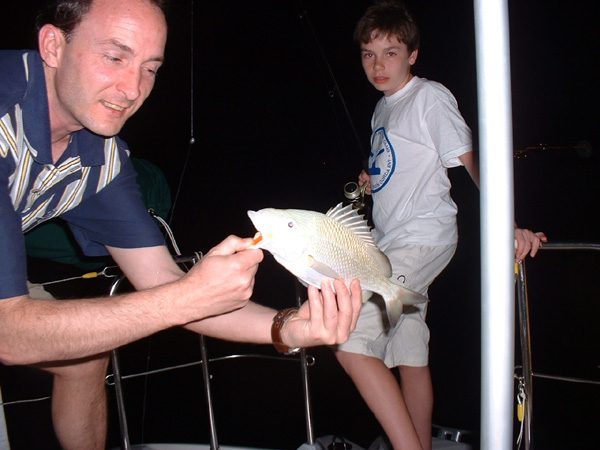 Collins Fish