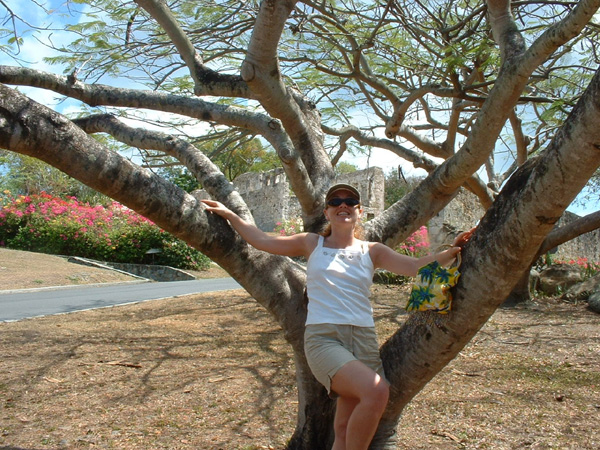 Julia in a tree