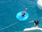 Great dive off boat