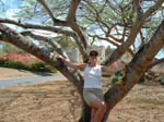 Julia in a tree