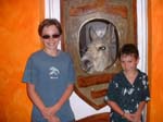 The Donkey