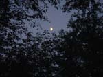 Moon view