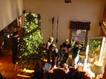 Tree Trim 1