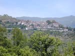 Molina