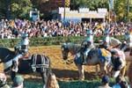 Jousters 1