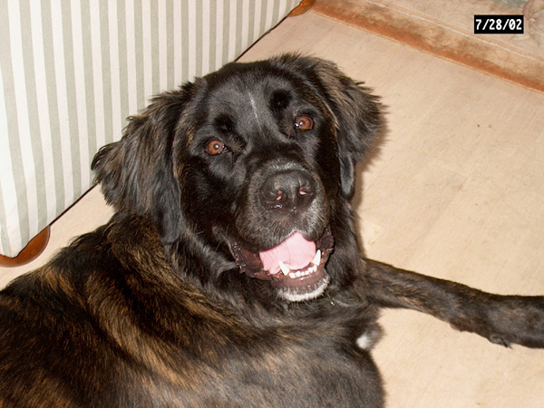 Thor