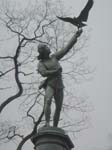 The Falconer