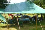 Tarp 2