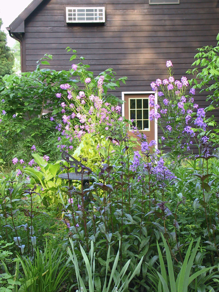 Garage Entrance 2