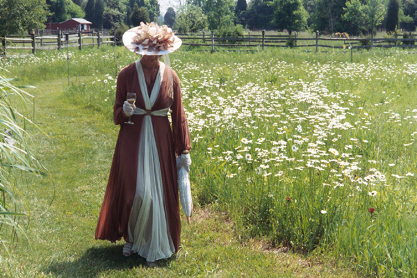 In the wildflower garden
