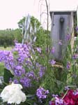 Bird House 2