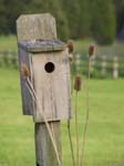 Bird House