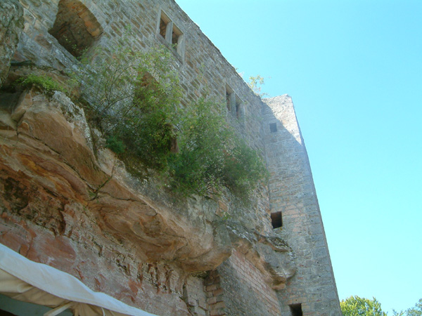 Grafenstein Castle 10