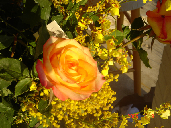 Flowers