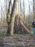 Tepee 1
