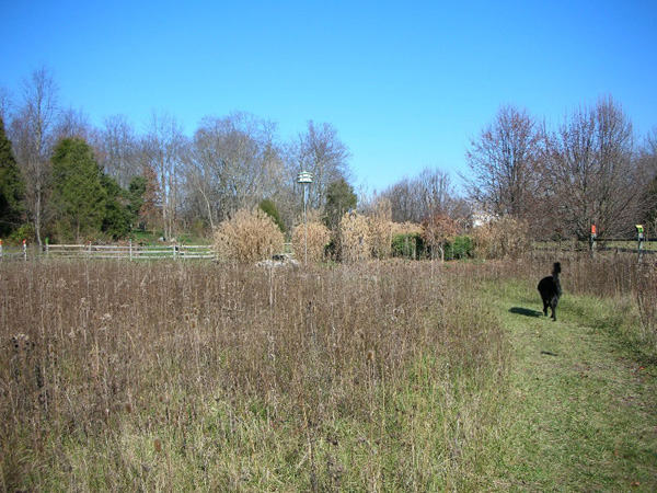 04_wvThanksgiving_11.06