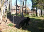 01_wvThanksgiving_11.06